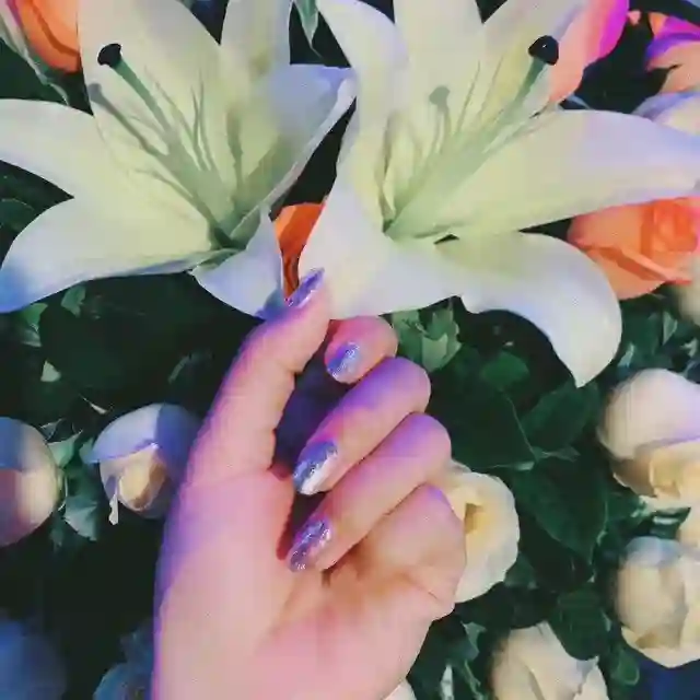 远上寒山石径斜 🅥 🌈🌝🐳🍗🏳️🌈
